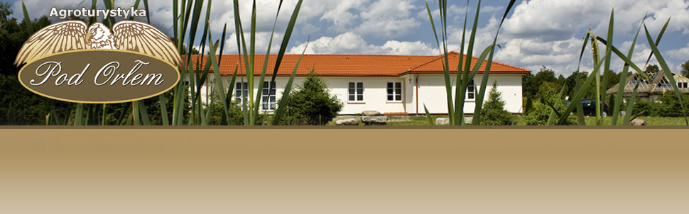 Hotel Restauracja Agroturystyka Pod Orem, Noclegi Wacz